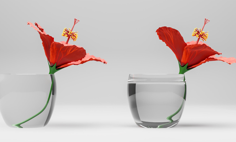 Glasvase mit einer fast schwimmenden Hibiskusblüte