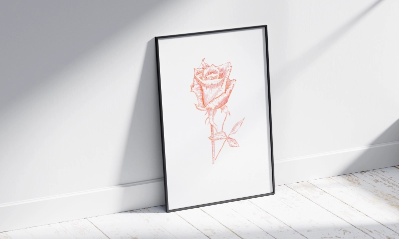 Zeichnung Rose in roter Tinte